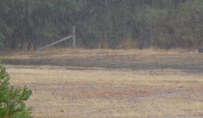 Grampians Old Man Emu Stay