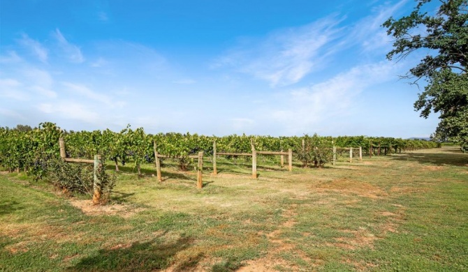 Milawa Vineyard Views - Guesthouse 2