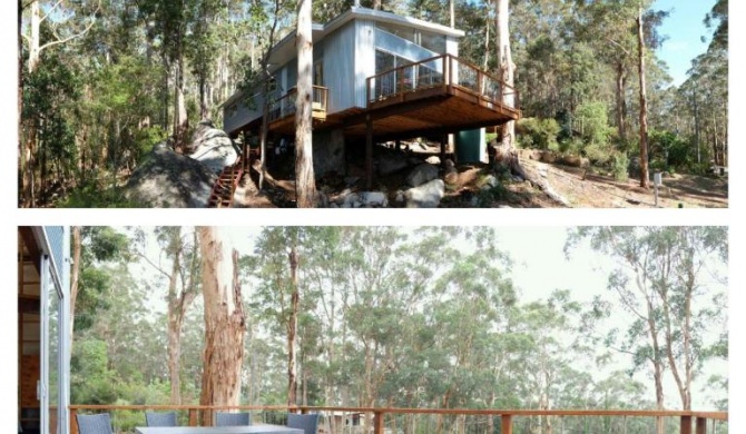 The Tree House